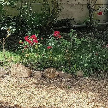 Feriehus Les Deux Puits, Jusqu'a 11 Personnes